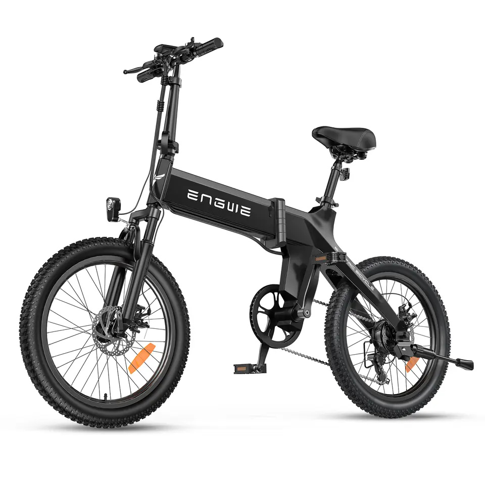  electric bike C20 36V10Ah 25km/h electric bike