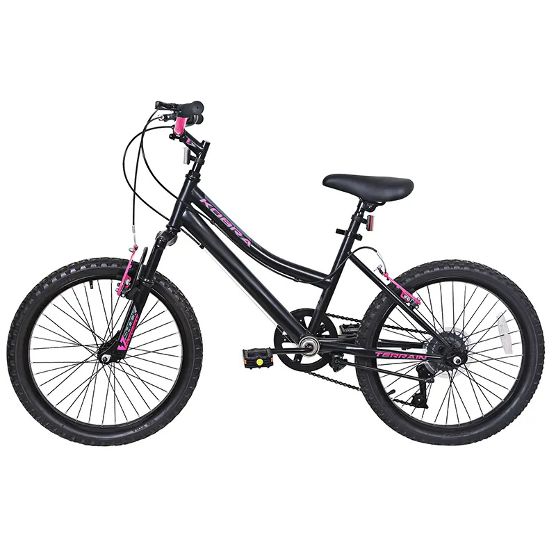 20 inch ladies women's bike 7 speed classic mountain bicycle kids bike cheap bicycle
