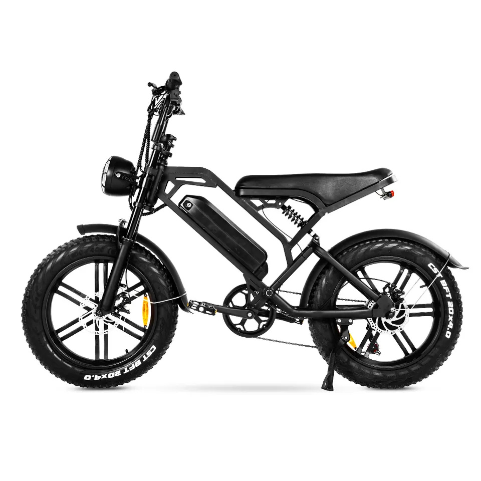 20inch Fat Tire Ebike Motorcycles 