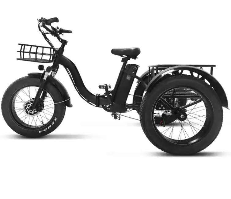 20 Inch Triciclo Electric Trike 750W Motor Fat Tire 3 Wheel 