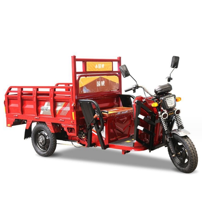 E-bike 3 Wheels Electric Bike 