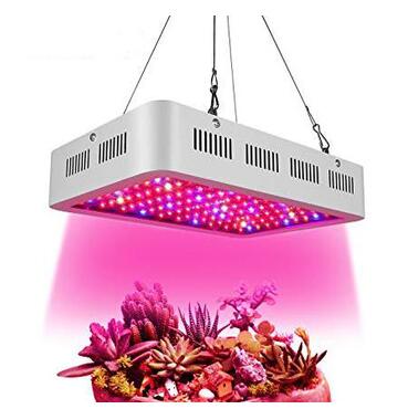 Can plants use light for photosynthesis