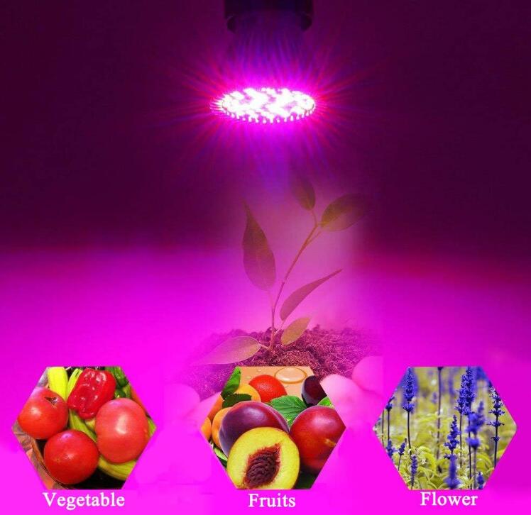  Full Spectrum E26 LED Grow Light Bulb
