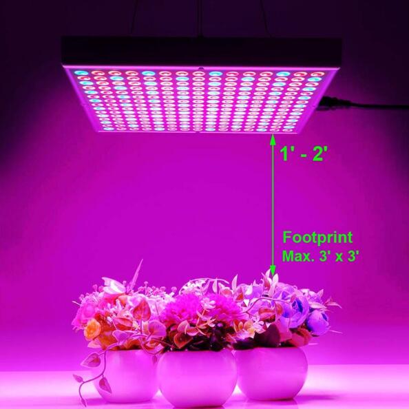 Red and blue plant grow light