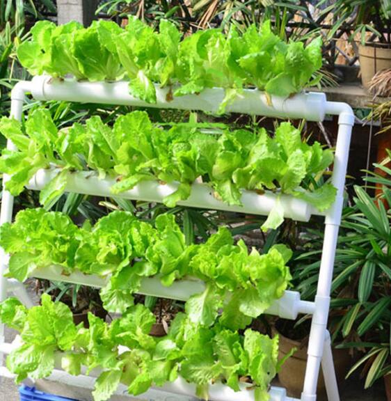 hydroponic system 36 holes