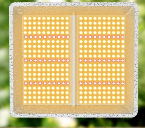 Seed Starting BLOOM VEG Grow Light