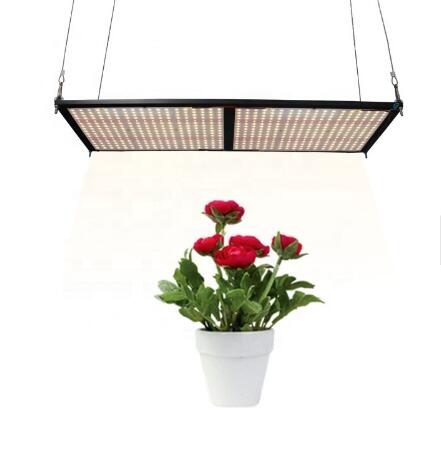 hydroponic growing system  grow light