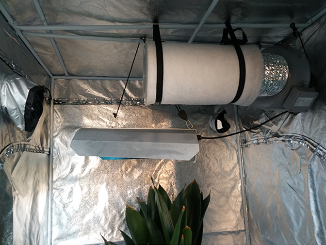 How to create an ideal lighting environment for indoor plant planting