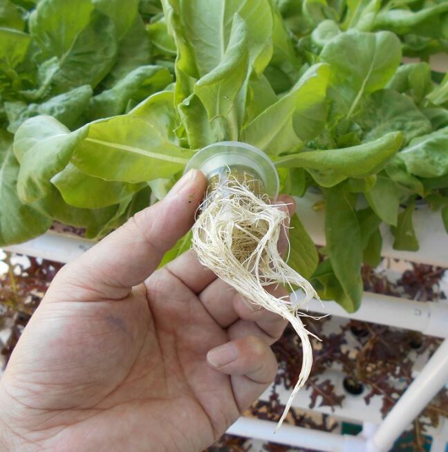 108 holes hydroponic growing system