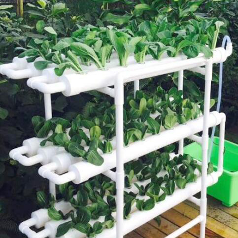 108 Holes Of Soil Free Cultivation Equipment In Four Rows An