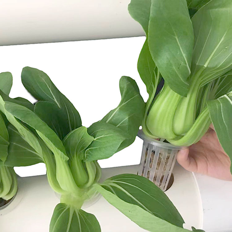 110mm 32 Hole Hydroponic Watering System