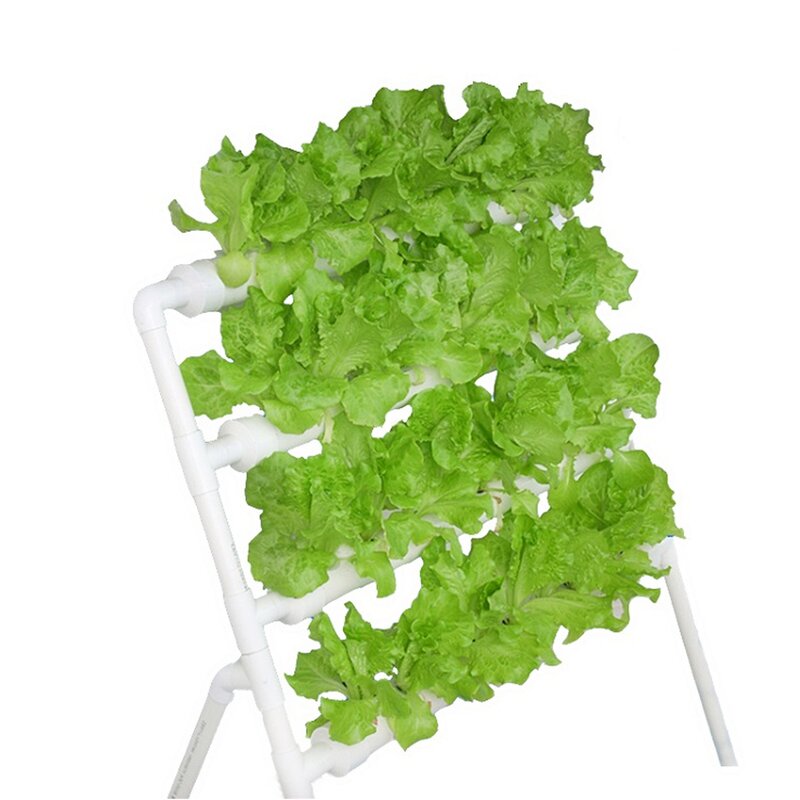PVC Hydroponic System