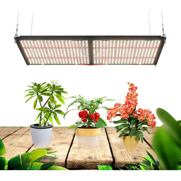 240W Grow Light Led Horticulture