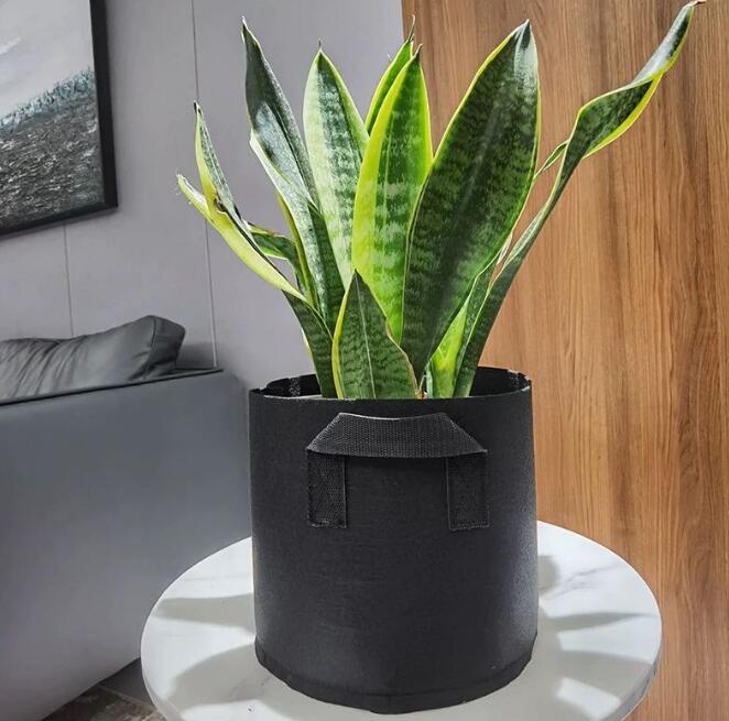 5 Gallon Fabric Smart Bag Grow Bag