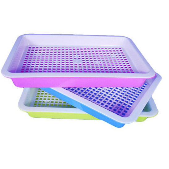 Water Cultivation Seedling Tray Plastic Growth Tray