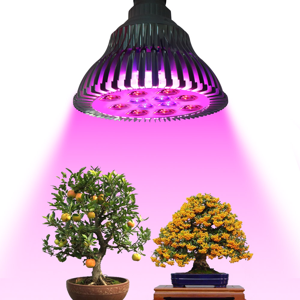 E27 Led Grow Light 15W 21W 27W 36W 45W 54W